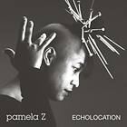 Pamela Z: Echolocation (Vinyl)