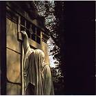 Dead Can Dance: Within The Realm Of A Dying Sun CD