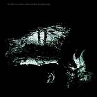 Villalobos Ricardo & Samuel Rohrer: microges... (Vinyl)