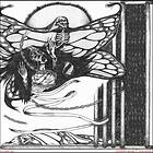Cloud Rat: Clipped Beaks / Silk Panic CD