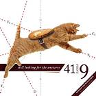 41point9: Still Looking For The Answers CD