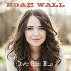 Wall Noah: Down Home Blues CD