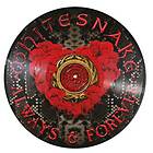 Whitesnake: Always & forever (Picturedisc) (Vinyl)