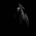 Taake: Stridens Hus (Vinyl)