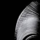 Near The Parenthesis: Helical CD