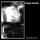 Fudge Tunnel: Hate Songs In E Minor CD