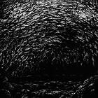 Ommadon: Ommadon (Vinyl)