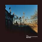 Cinematic Orchestra: Ma Fleur (Clear/Ltd) (Vinyl)