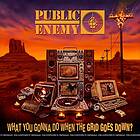 Public Enemy: What You Gonna Do When The Grid... CD