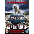 Black Sheep (UK) (DVD)