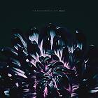 Contortionist: Our Bones (Vinyl)