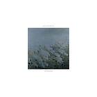 Beshevli Ilya: Wanderer (Vinyl)