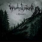Waldgefluster: Ruinen 2016 CD