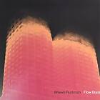 Rudiman Shawn: Flow State (Vinyl)