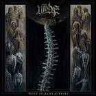 Wode: Burn In Many Mirrors CD