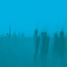 Touche Amore: Is survived by 2013 CD