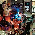 Cooper Alice: The Last Temptation (Rem) (Vinyl)