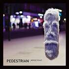 Pedestrian: Hoyle Road (Vinyl)