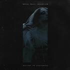 Noise Trail Immersion: Symbology Of Shelter (Vinyl)
