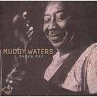 Waters Muddy: Honey Bee CD