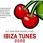 Ibiza Tunes 2020 CD