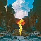 Bonobo: Migration CD