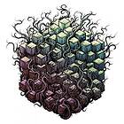 Tesseract: Errai (Vinyl)