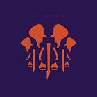 Satriani Joe: The elephants of Mars (Vinyl)