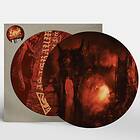 Asagraum: Dawn Of Infinite Fire (Picturedisc) (Vinyl)