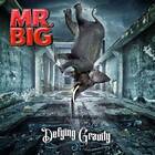 Mr Big: Defying Gravity CD