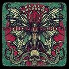 Black Rainbows: Supermothafuzzalicious! CD