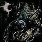 Leviathan: A Silhouette In Splinters (Vinyl)