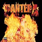 Pantera: Reinventing the steel (Vinyl)