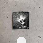 Frahm Nils: Empty CD