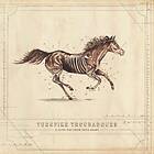 Turnpike Troubadours: A long way from your heart CD