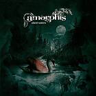 Amorphis: Silent Waters (Vinyl)