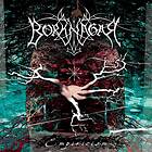 Borknagar: Empiricism LP
