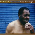 Kimbrough Junior: You Beter Run The Essential (Vinyl)