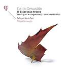 Gesualdo Carlo: O Dolce Mio Tesoro CD