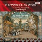 Haydn: Unexpected Encounters