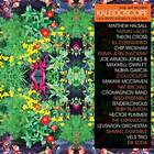 Kaleidoscope New Spirits... LP