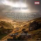 Liszt: Transcendental Etudes After Paganini CD