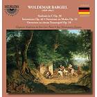 Bargiel Woldemar: Orchestral Works CD