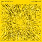 Future Sound Of Jazz 13 (Vinyl)