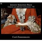 Bach: Concerts With Various Instruments Vol 6