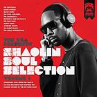RZA Presents Hsaolin Soul Selection
