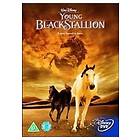 Young Black Stallion (UK) (DVD)