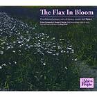 Flax In Bloom