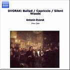Dvorak: Music For Violin & Piano Vol 2