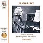 Liszt: Complete Piano Music Vol 8 CD